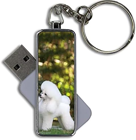Metallice Fashio USB Disk Kapaciteta 8GB Otisak Elegantan Pudlica
